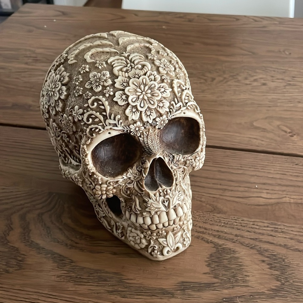 Oddities skull skeleton head